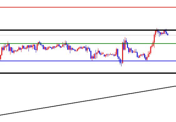 The US index is fluctuating at a high level, and the EUR/USD is facing critical support