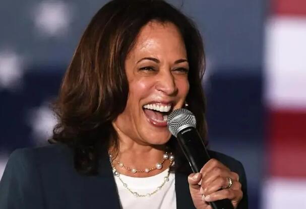 Harris leads Trump by a narrow margin! Market turbulence is feared before confirming Democratic nominee