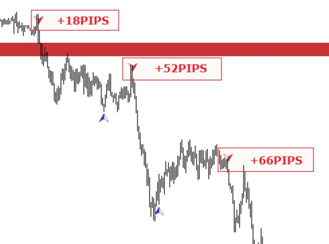 MT4FXTRADER earns 20-40 basis points per day